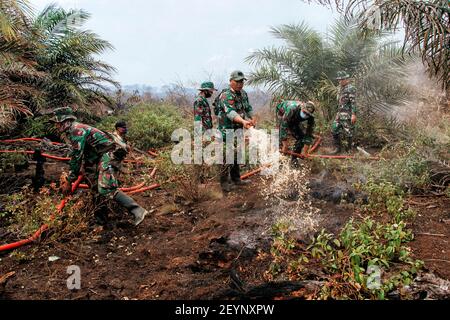 Meulaboh, Aceh, Indonésie. 1er mars 2021. L'effort d'extincteur d'incendie a impliqué le personnel de BPBD Aceh Barat, TNI, POLRI, des volontaires et le soutien des citoyens locaux.cinq hectares de tourbières à Gampong Peunaga Cut Ujong, Meuroubo, West Aceh a été en feu qui a commencé depuis le samedi 27 février 2021, sa propagation en raison des forts vents chauds atmosphériques. À côté des tourbières, les incendies ont également ravagé certaines plantations de palmier à huile. L'effet de brouillard a commencé à couvrir la zone de la ville de Meulaboh et autour. Le Coordonnateur du Centre de contrôle des opérations (PUSDALOPS) du West Aceh Distric Banque D'Images