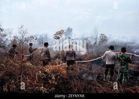 Meulaboh, Aceh, Indonésie. 1er mars 2021. L'effort d'extincteur d'incendie a impliqué le personnel de BPBD Aceh Barat, TNI, POLRI, des volontaires et le soutien des citoyens locaux.cinq hectares de tourbières à Gampong Peunaga Cut Ujong, Meuroubo, West Aceh a été en feu qui a commencé depuis le samedi 27 février 2021, sa propagation en raison des forts vents chauds atmosphériques. À côté des tourbières, les incendies ont également ravagé certaines plantations de palmier à huile. L'effet de brouillard a commencé à couvrir la zone de la ville de Meulaboh et autour. Le Coordonnateur du Centre de contrôle des opérations (PUSDALOPS) du West Aceh Distric Banque D'Images