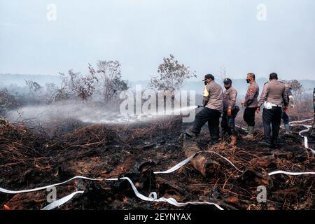 Meulaboh, Aceh, Indonésie. 1er mars 2021. L'effort d'extincteur d'incendie a impliqué le personnel de BPBD Aceh Barat, TNI, POLRI, des volontaires et le soutien des citoyens locaux.cinq hectares de tourbières à Gampong Peunaga Cut Ujong, Meuroubo, West Aceh a été en feu qui a commencé depuis le samedi 27 février 2021, sa propagation en raison des forts vents chauds atmosphériques. À côté des tourbières, les incendies ont également ravagé certaines plantations de palmier à huile. L'effet de brouillard a commencé à couvrir la zone de la ville de Meulaboh et autour. Le Coordonnateur du Centre de contrôle des opérations (PUSDALOPS) du West Aceh Distric Banque D'Images