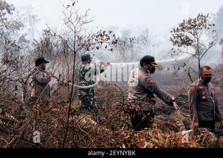 Meulaboh, Aceh, Indonésie. 1er mars 2021. L'effort d'extincteur d'incendie a impliqué le personnel de BPBD Aceh Barat, TNI, POLRI, des volontaires et le soutien des citoyens locaux.cinq hectares de tourbières à Gampong Peunaga Cut Ujong, Meuroubo, West Aceh a été en feu qui a commencé depuis le samedi 27 février 2021, sa propagation en raison des forts vents chauds atmosphériques. À côté des tourbières, les incendies ont également ravagé certaines plantations de palmier à huile. L'effet de brouillard a commencé à couvrir la zone de la ville de Meulaboh et autour. Le Coordonnateur du Centre de contrôle des opérations (PUSDALOPS) du West Aceh Distric Banque D'Images