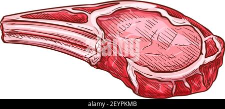 Icône d'esquisse de hachage de nervure, vecteur de viande sur os de nervure. Morceau de bœuf ou steak de porc Illustration de Vecteur