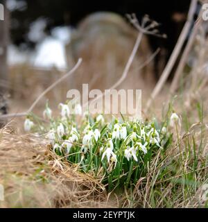 Chutes de neige dans l'église Aldbury, Aldbury Village, Buckinghamshire, Royaume-Uni Banque D'Images