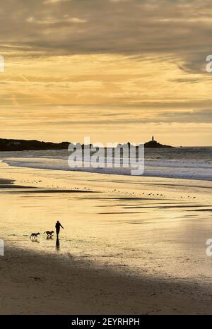 Marcheur pour chiens à St Ouens Bay, Jersey. C. I. Banque D'Images