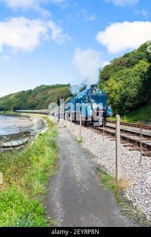 Angleterre, Devon, LNER A4 Pacific 'Bittern' en direction de Torbay Express dans Kingswear sur le Dartmouth Steam Railway Banque D'Images