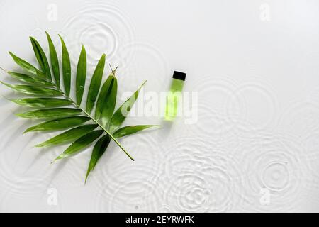 Produit liquide vert pour la thérapie de massage du visage de beauté, produit de soin de la peau auto-fabriqué. Plat, composition simple, feuille de palmier sur fond blanc. Eau Banque D'Images