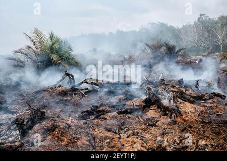 Vue sur la forêt brûlée de Meulaboh. Cinq hectares de tourbières à Gampong Peunaga Cut Ujong, Meuroubo, West Aceh a été en feu qui a commencé depuis samedi, 27 février 2021, son maintien s'est répandu en raison des vents forts de l'atmosphère chaude. À côté des tourbières, les incendies ont également ravagé certaines plantations de palmier à huile. L'effet de brouillard a commencé à couvrir la zone de la ville de Meulaboh et autour. Le Coordonnateur du Centre de contrôle des opérations (PUSDALOPS) de l'Agence de gestion des catastrophes du district d'Aceh Ouest (BPBD), M. Mashuri a déclaré que les efforts visant à éteindre l'incendie dans la zone des tourbières à Peunaga C. Banque D'Images