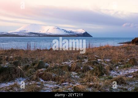 Matin d'hiver sur le rivage des îles écossaises à Stromness avec sec herbe et collines lointaines couvertes de neige Banque D'Images