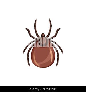 Icône de l'insecte de la tique, lutte antiparasitaire, extermination des parasites et service de dissection, vecteur isolé. Insecte de tique ou d'acarien, sanitaire et encéphalite Illustration de Vecteur