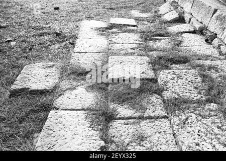 Les aiguilles de pin ruines de pierre et de théâtre à antalya arykanda turquie asie Banque D'Images