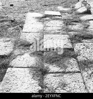 Les aiguilles de pin ruines de pierre et de théâtre à antalya arykanda turquie asie Banque D'Images