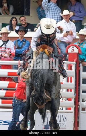 Saddle bronc événement au Calgary Stampede Rodeo Banque D'Images