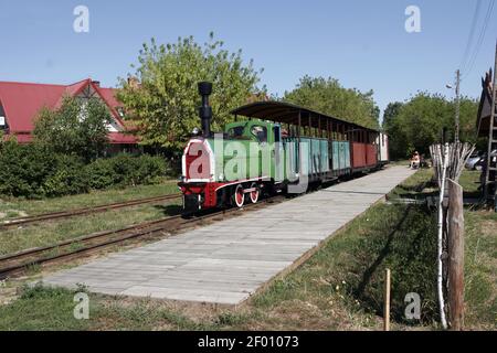 Pologne, Plocaczno, Wigry Narrow Gauge Railway, Podlasie voïvodeship. Banque D'Images