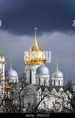 Cathédrales du Kremlin. Dômes dorés de temples en pierre blanche. Banque D'Images
