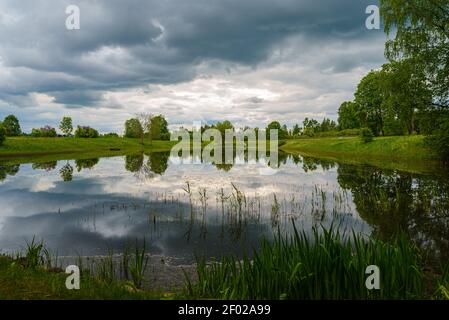 Champ d'été paysage-gris épais nuages et arbres de pluie sont reflétés dans un étang miroir surcultivé avec de l'herbe de rivière . Russie, montagnes Pouchkine. Banque D'Images