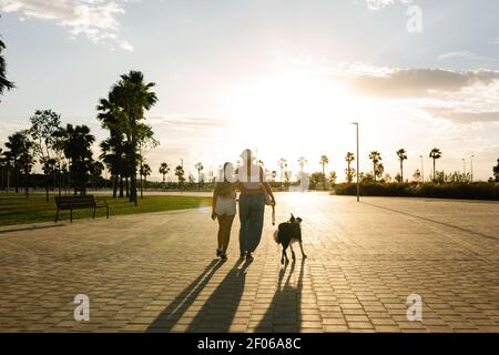 Vue arrière de la femme embrassant une adolescente en marchant avec le chien Border Collie le long de la voie dans le parc sur fond de ciel ensoleillé en été Banque D'Images