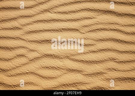 Vagues de sable sur une dune errante Rubjerg Knude près de Lønstrup, Danemark Banque D'Images