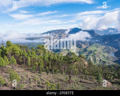 Vue panoramique depuis le sommet du parc naturel de Tamadaba avec des collines verdoyantes, des montagnes forestières et un lac de barrage. Gran Canaria, Îles Canaries, Espagne Banque D'Images