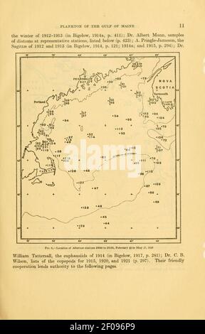 Plancton des eaux extracôtières du golfe du Maine Banque D'Images