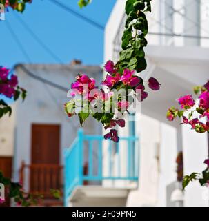 Dans l'île de grèce antorini europe vieille maison et couleur blanche Banque D'Images