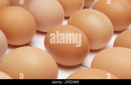 œufs de poulet frais disposés en rangées sur un blanc table en bois Banque D'Images