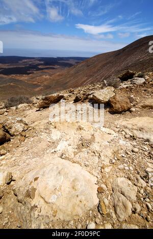 Océan Atlantique fleur bois plante buisson volcan colline de pierre et l'été espagne Banque D'Images