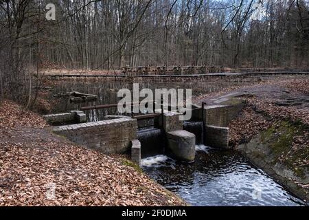 Vestiges de l'installation d'essais en laboratoire dans la forêt de Waterloopbos aux pays-Bas, utilisée dans les années 1960 pour le développement des ouvrages d'eau et de delta Banque D'Images