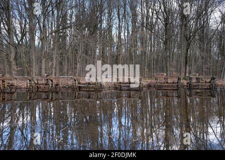 Reste de l'essai de laboratoire pour l'aménagement des ouvrages d'eau dans la forêt 'Waterloopbos' à Marknesse, aux pays-Bas, miroir dans l'eau d'un lac Banque D'Images