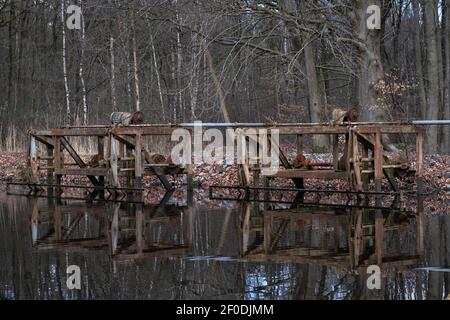 Vestiges de l'installation d'essais en laboratoire dans la forêt de Waterloopbos aux pays-Bas, utilisée dans les années 1960 pour le développement des ouvrages d'eau et de delta Banque D'Images