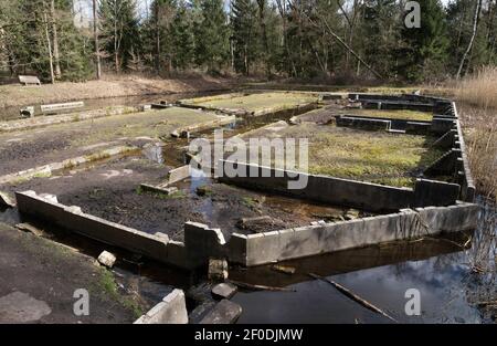 Vestiges de l'installation d'essais en laboratoire dans la forêt de Waterloopbos aux pays-Bas, utilisée dans les années 1960 pour le développement des ouvrages d'eau et de delta Banque D'Images