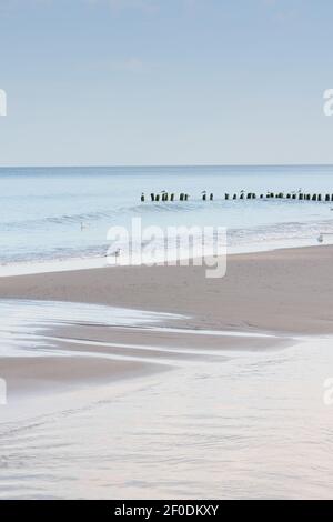 Bord de mer au coucher du soleil le soir. Mouettes et vagues sur une plage déserte. Détente et tranquillité. Magnifique paysage marin, mise au point sélective. Banque D'Images