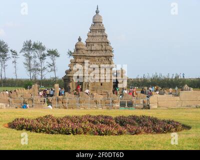 Le célèbre Temple de la rive avec herbe et arbres autour de situé Sur la rive de la mer à Mahabalipuram Chennai Inde cliqua sur 25 décembre 2008 Banque D'Images