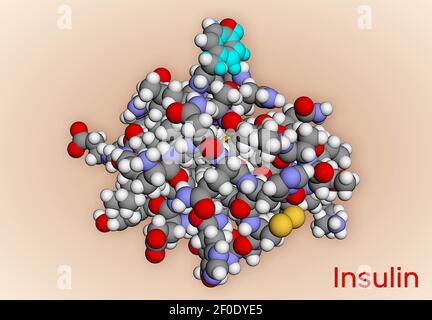 Molécule d'insuline humaine. C'est l'hormone peptidique, produite par les cellules bêta du pancréas, utilisée pour le traitement de l'hyperglycémie. Modèle moléculaire. Réf. 3D Banque D'Images