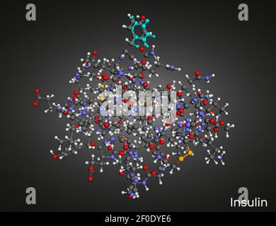 Molécule d'insuline humaine. C'est l'hormone peptidique, produite par les cellules bêta du pancréas, utilisée pour le traitement de l'hyperglycémie. Modèle moléculaire. Réf. 3D Banque D'Images