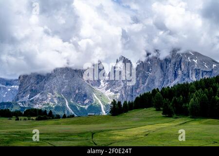 Les prairies verdoyantes de Seiser Alm dans les alpes iltaliennes. Banque D'Images