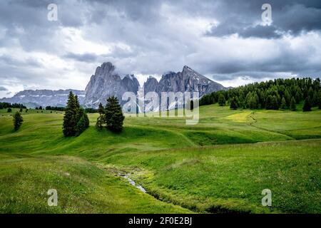 Les prairies verdoyantes de Seiser Alm dans les alpes iltaliennes. Banque D'Images