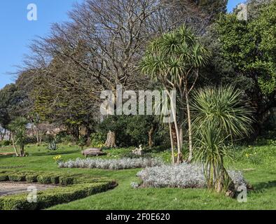 Le parc Devonport de Plymouth est souvent refait comme le parc des peuples. Avec des jardins de pièces, dont le jardin Napier, à côté de Fore Street. Jolly Daffo Banque D'Images
