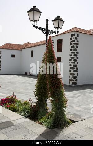 Église de San Pedro Apóstol à Vilaflor, Tenerife, île des Canaries, Espagne Banque D'Images