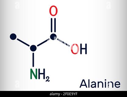 Alanine, L-alanine, Ala, UNE molécule. C'est un acide aminé non essentiel. Formule chimique structurelle Formule chimique squelettique. Illustration vectorielle Illustration de Vecteur