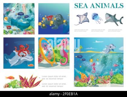Dessin animé de la vie de mer avec le requin-raque jellyfish phoque hippocampe poissons pieuvres crabe dauphin algues et coraux illustration vectorielle Illustration de Vecteur