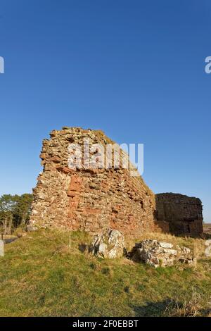 Les vestiges de l'ancien mur-rideau ouest du château rouge à Lunan Bay sur la côte est de l'Écosse, une ruine du château s'émiettant lentement. Banque D'Images