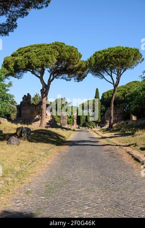 Rome. Italie. Via Appia Antica (voie Appienne), pins en pierre méditerranéenne et monuments funéraires bordant l'ancienne route romaine. Banque D'Images