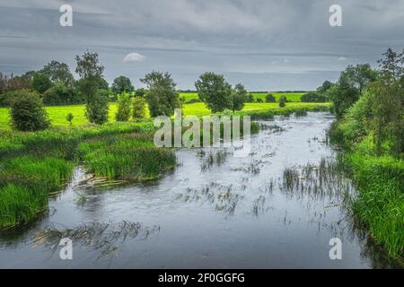 Champs d'agriculture verte et prairies avec une forêt sur la rive de la rivière Boyne, comte Meath, Irlande Banque D'Images