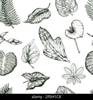 Plantes tropicales sans couture avec des branches et des feuilles de différents illustration vectorielle dessinée à la main Illustration de Vecteur