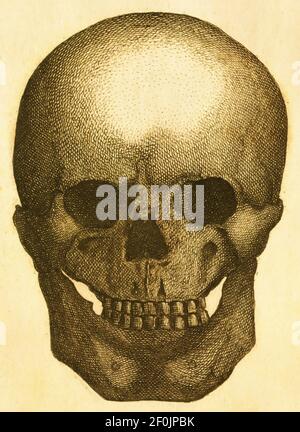 illustration du xixe siècle d'un crâne humain préhistorique. Publié dans Systematischer Bilder-Atlas zum conversations-Lexikon, Ikonographische Encyklopae Banque D'Images