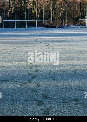 Glasgow, Écosse, Royaume-Uni. 30 décembre 2020 : empreintes de neige sur le terrain de football Banque D'Images