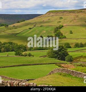 L'agriculture dans la vallée de Farndale sur le North York Moors, England, UK Banque D'Images