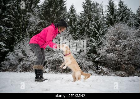 Gaie jeune femme entrainement son joli petit chien dehors dans une neige couverte nature d'hiver. Banque D'Images