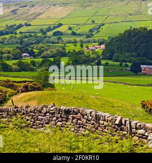 L'agriculture dans la vallée de Farndale sur le North York Moors, England, UK Banque D'Images