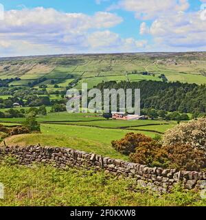 L'agriculture dans la vallée de Farndale sur le North York Moors, England, UK Banque D'Images