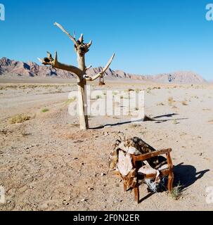 En iran vieux arbre mort Banque D'Images